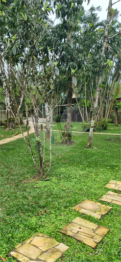 Foto REO1094595