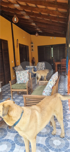 Foto REO1094595