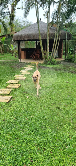 Foto REO1094595