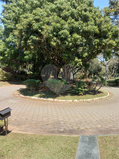 Foto REO1094608