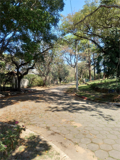 Foto REO1094608