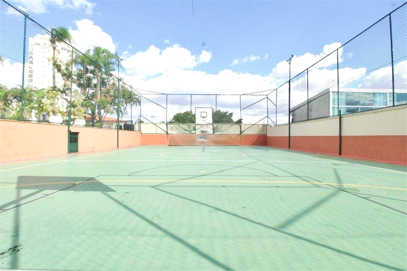 Foto REO1094611