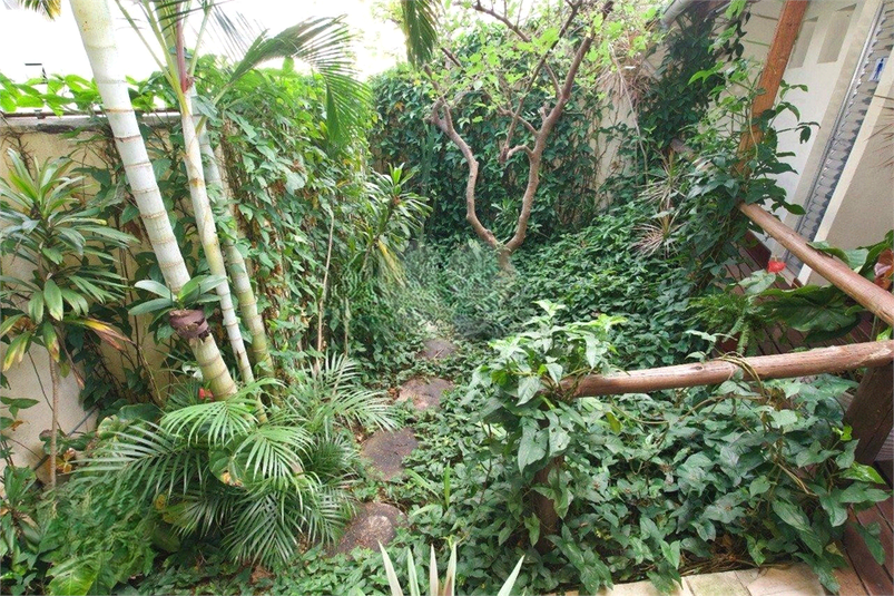Foto REO1094611