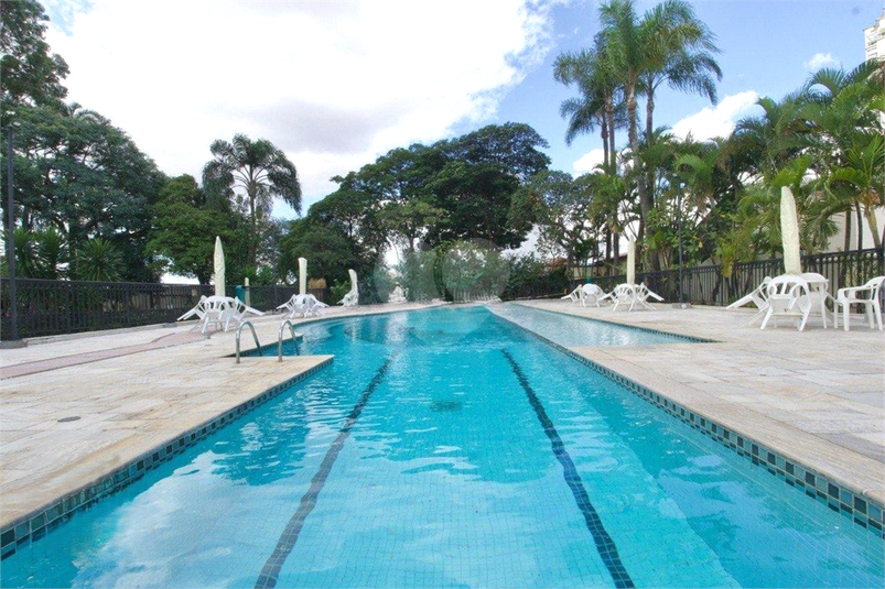 Foto REO1094611