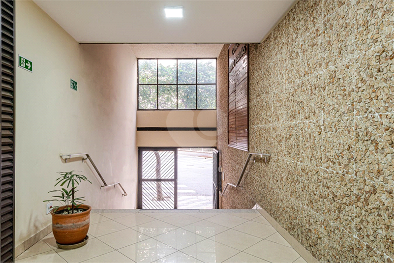 Foto REO1094622