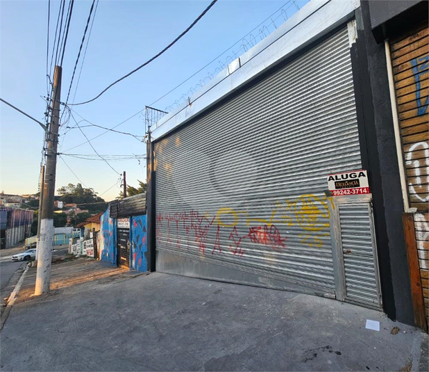 Foto REO1094624