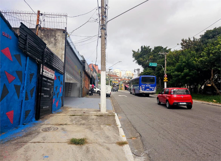 Foto REO1094624