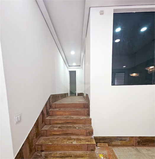 Foto REO1094624