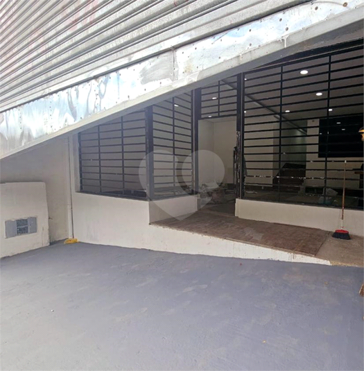 Foto REO1094624
