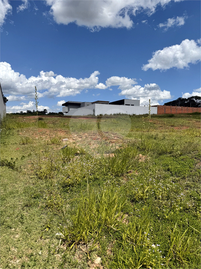 Foto REO1094633