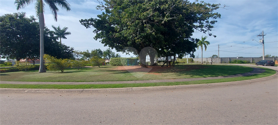 Foto REO1094633
