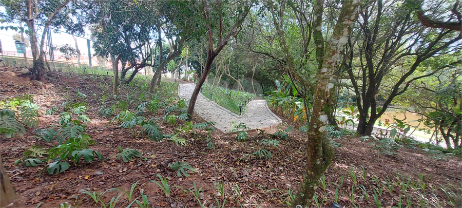 Foto REO1094633