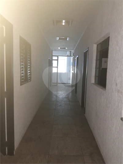 Foto REO1094635