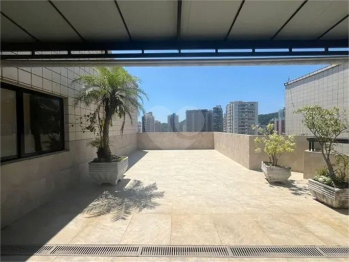 Foto REO1094641
