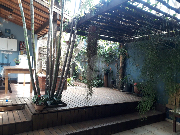 Foto REO1094646