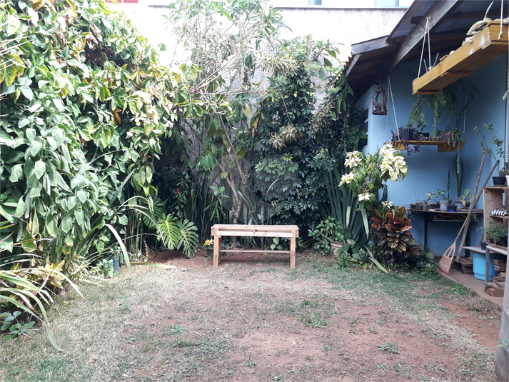 Foto REO1094646