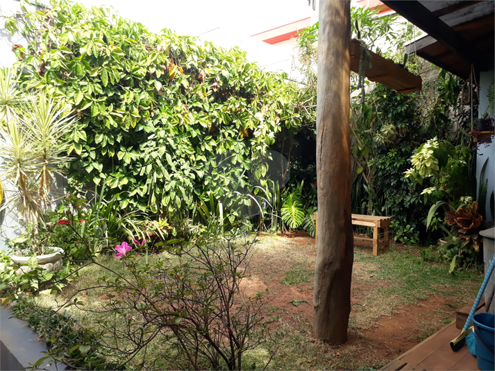 Foto REO1094646