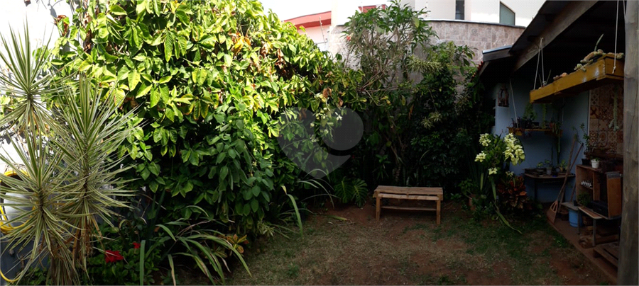 Foto REO1094646