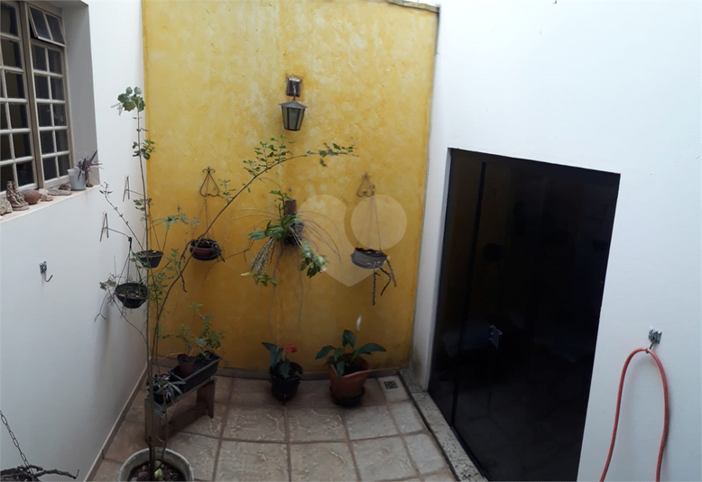 Foto REO1094646