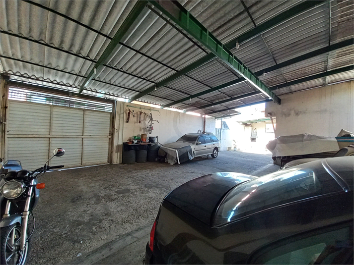 Foto REO1094652