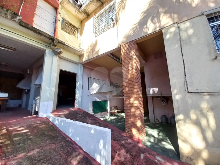 Foto REO1094652