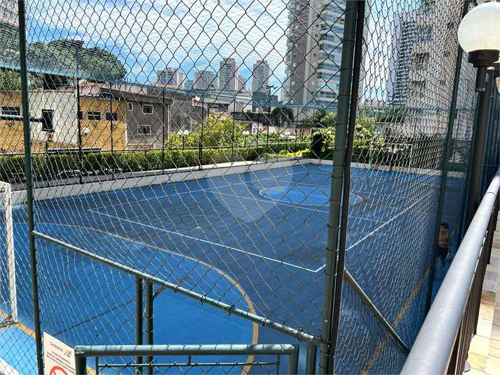 Foto REO1094655