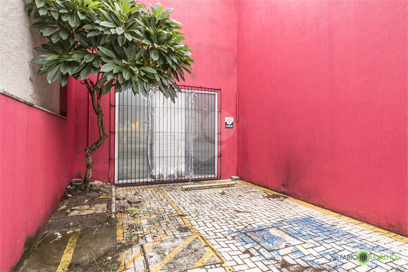 Foto REO1094656