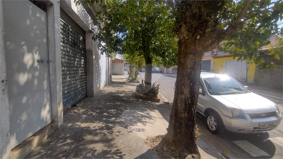 Foto REO1094687