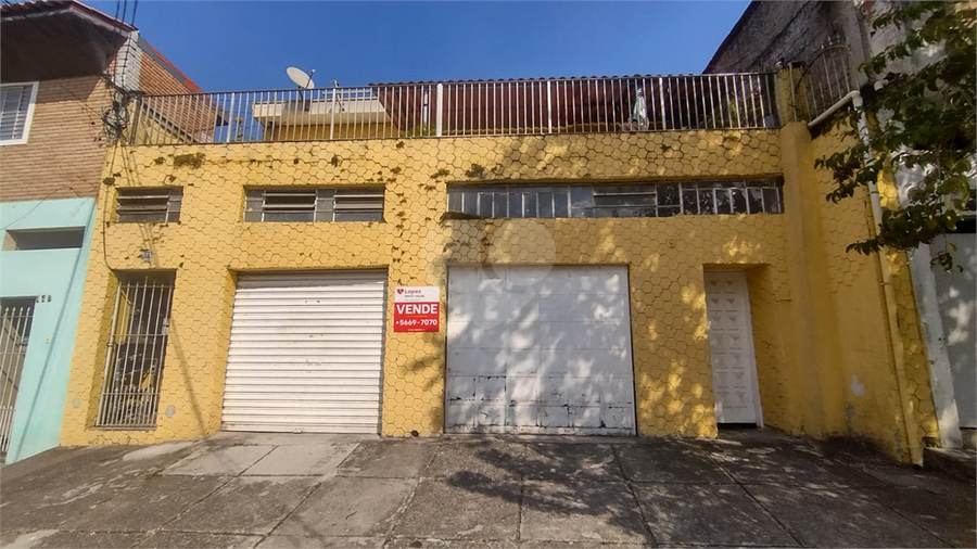 Foto REO1094687