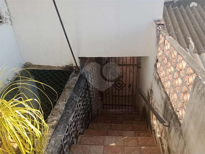 Foto REO1094690