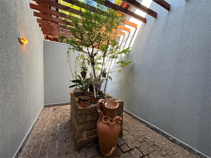 Foto REO1094692