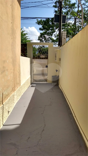 Foto REO1094694