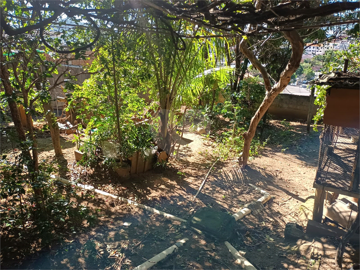 Foto REO1094694