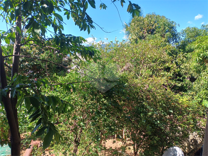 Foto REO1094694