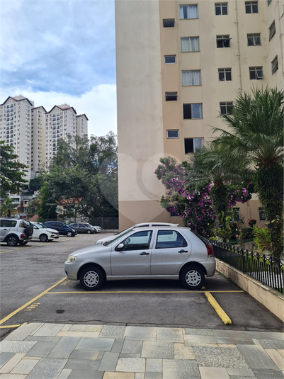 Foto REO1094699