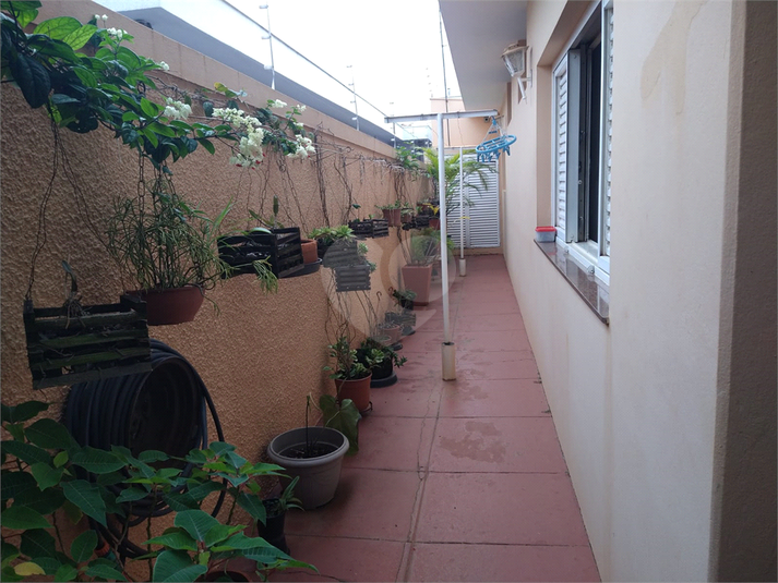 Foto REO1094707