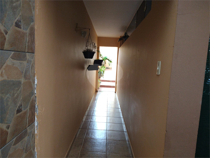 Foto REO1094707