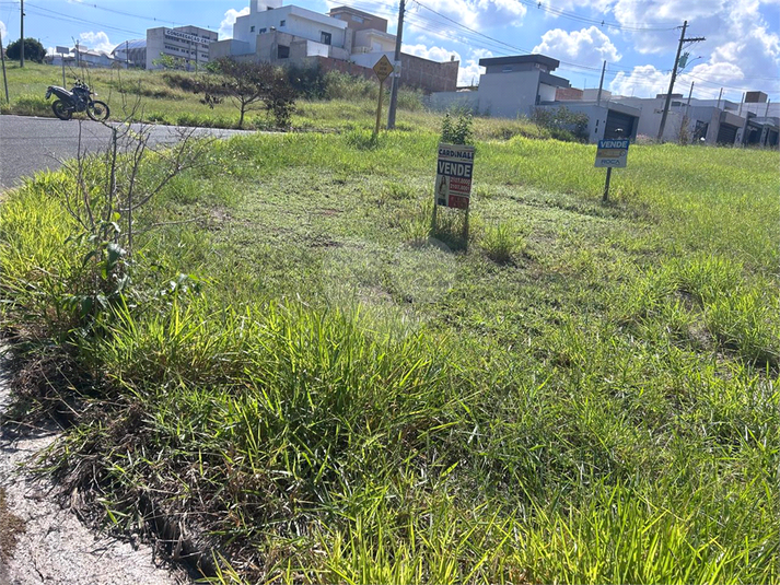 Foto REO1094717