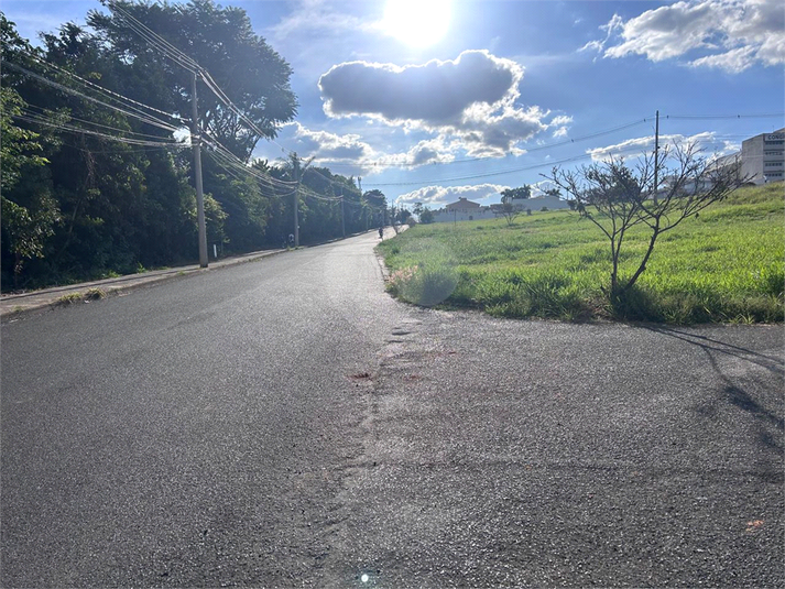 Foto REO1094717
