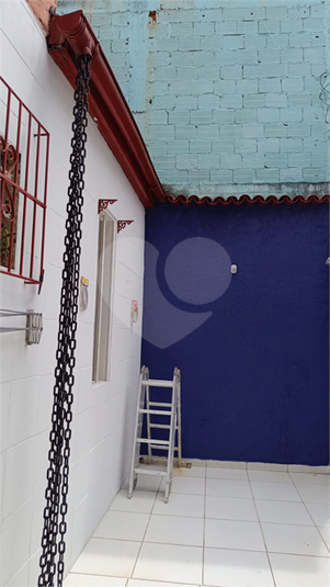 Foto REO1094720