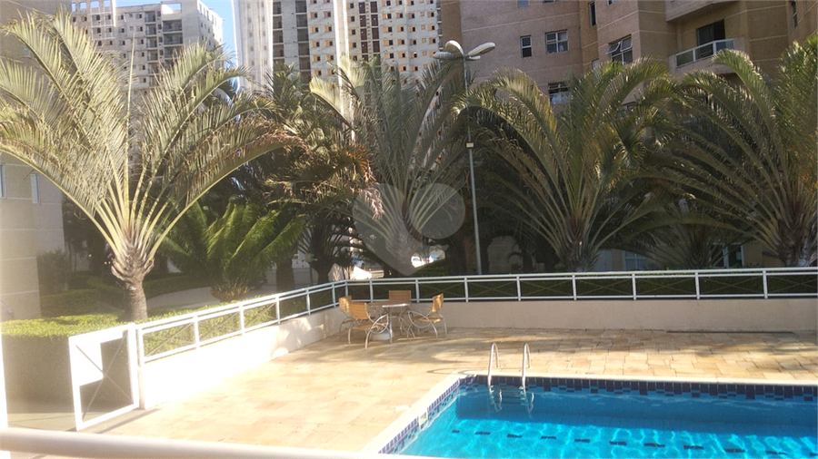 Foto REO1094721