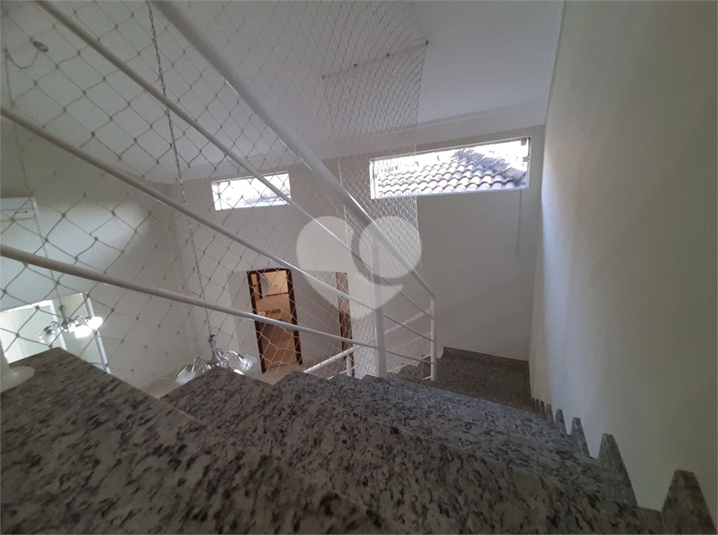 Foto REO1094723