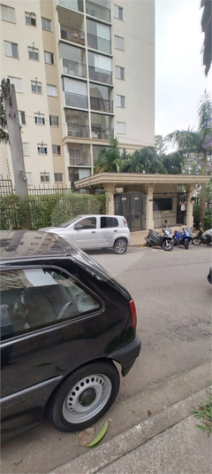 Foto REO1094727