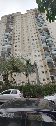 Foto REO1094727