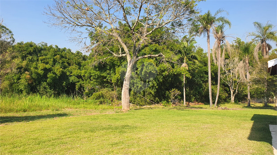 Foto REO1094731