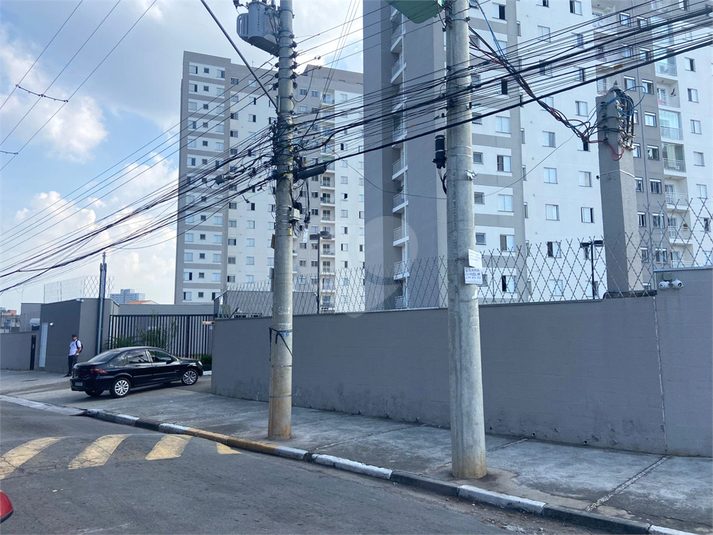 Foto REO1094732