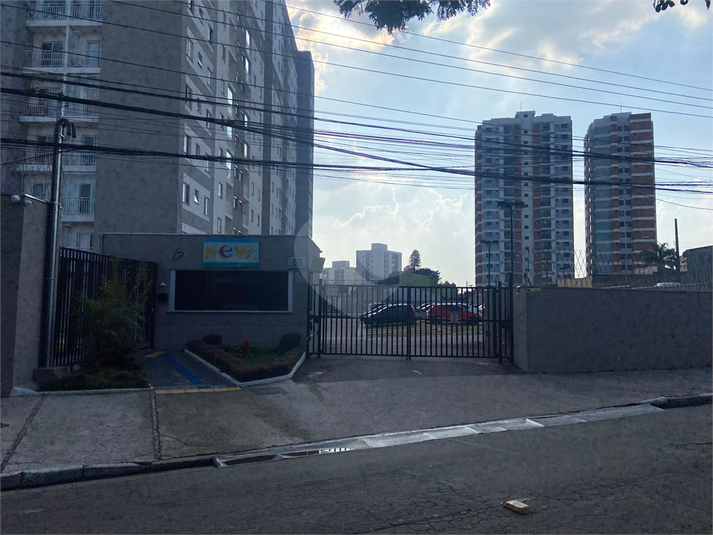 Foto REO1094732
