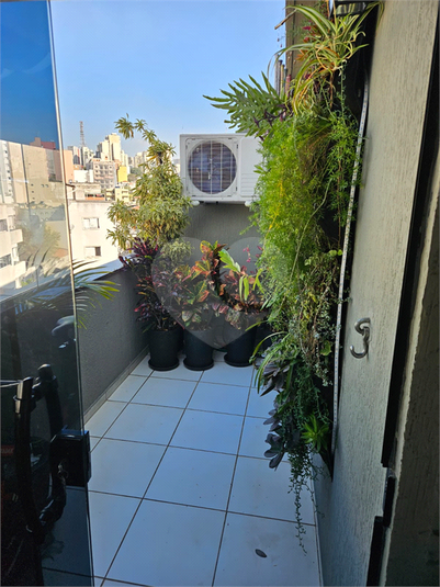 Foto REO1094736
