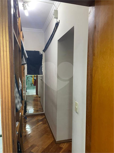 Foto REO1094744