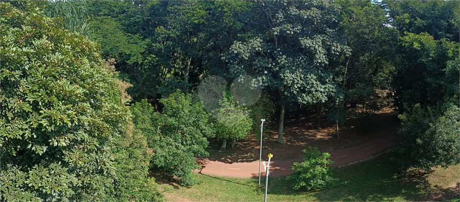 Foto REO1094749